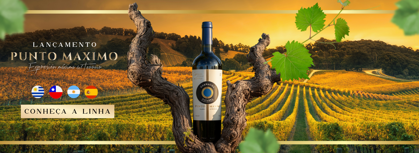 punto maximo garnacha